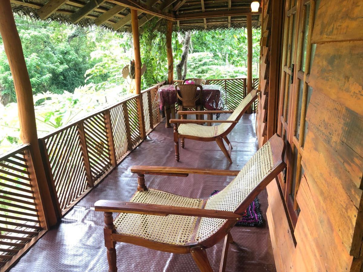 Sigiri Lion Eco Palace Sigiriya Exterior foto