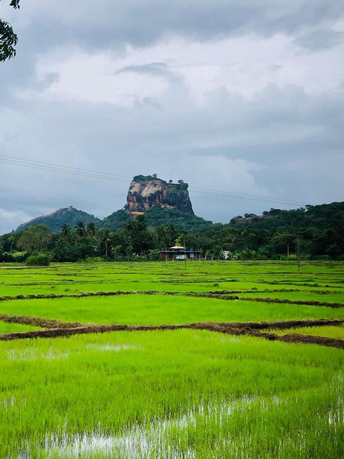 Sigiri Lion Eco Palace Sigiriya Exterior foto