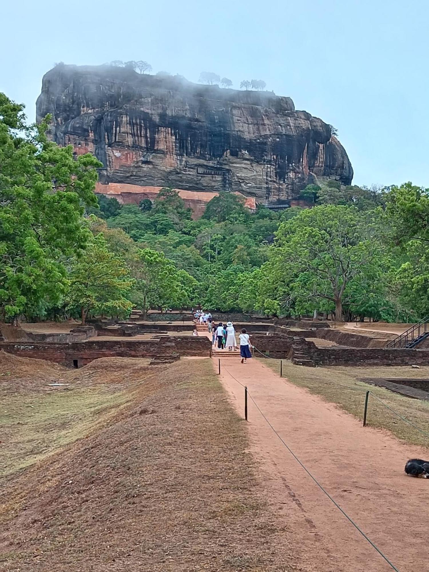 Sigiri Lion Eco Palace Sigiriya Exterior foto