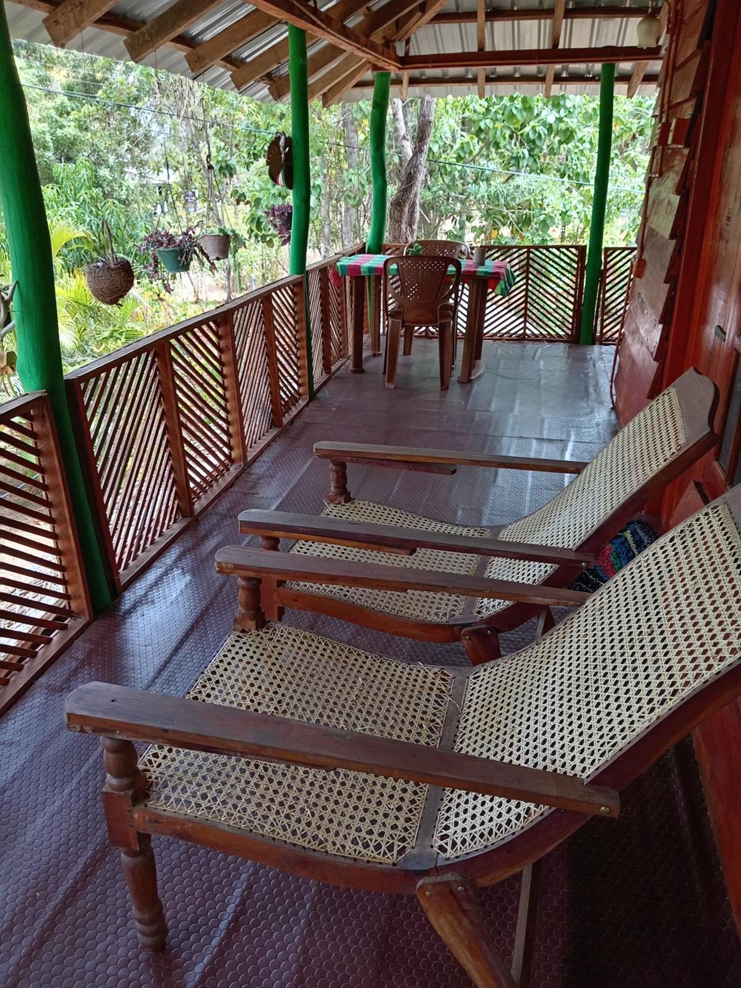 Sigiri Lion Eco Palace Sigiriya Exterior foto